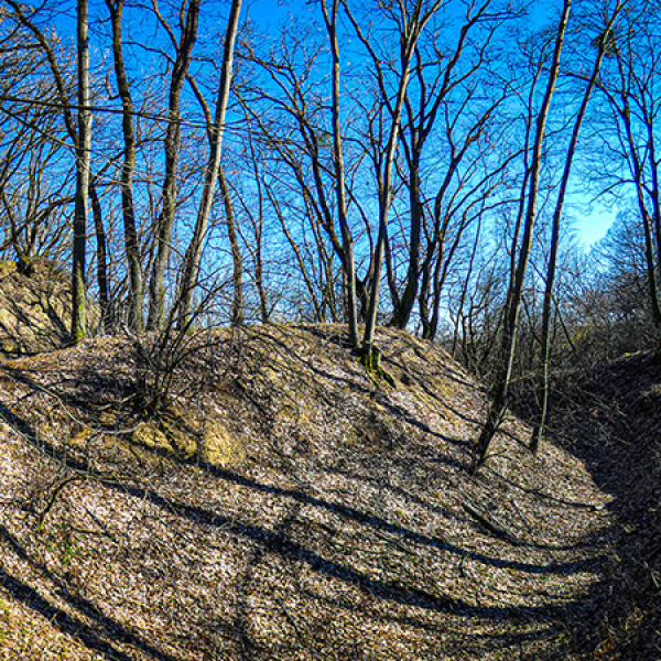 Kási-vár, Nyim