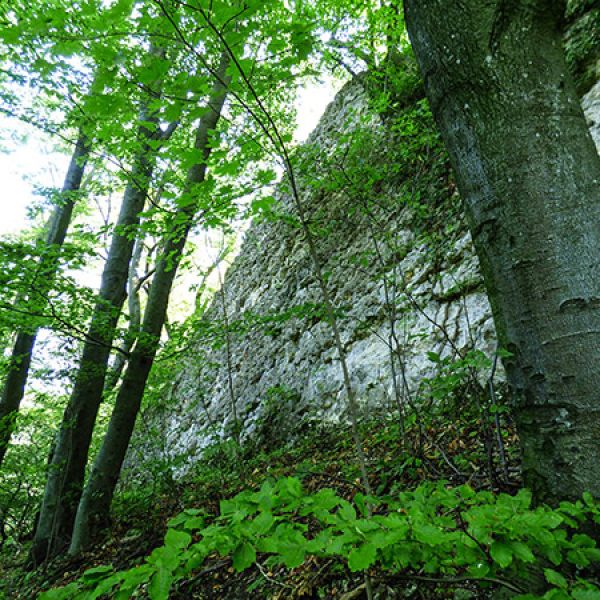 Hölgykő vára