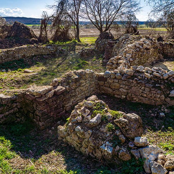 Veszprémfajsz