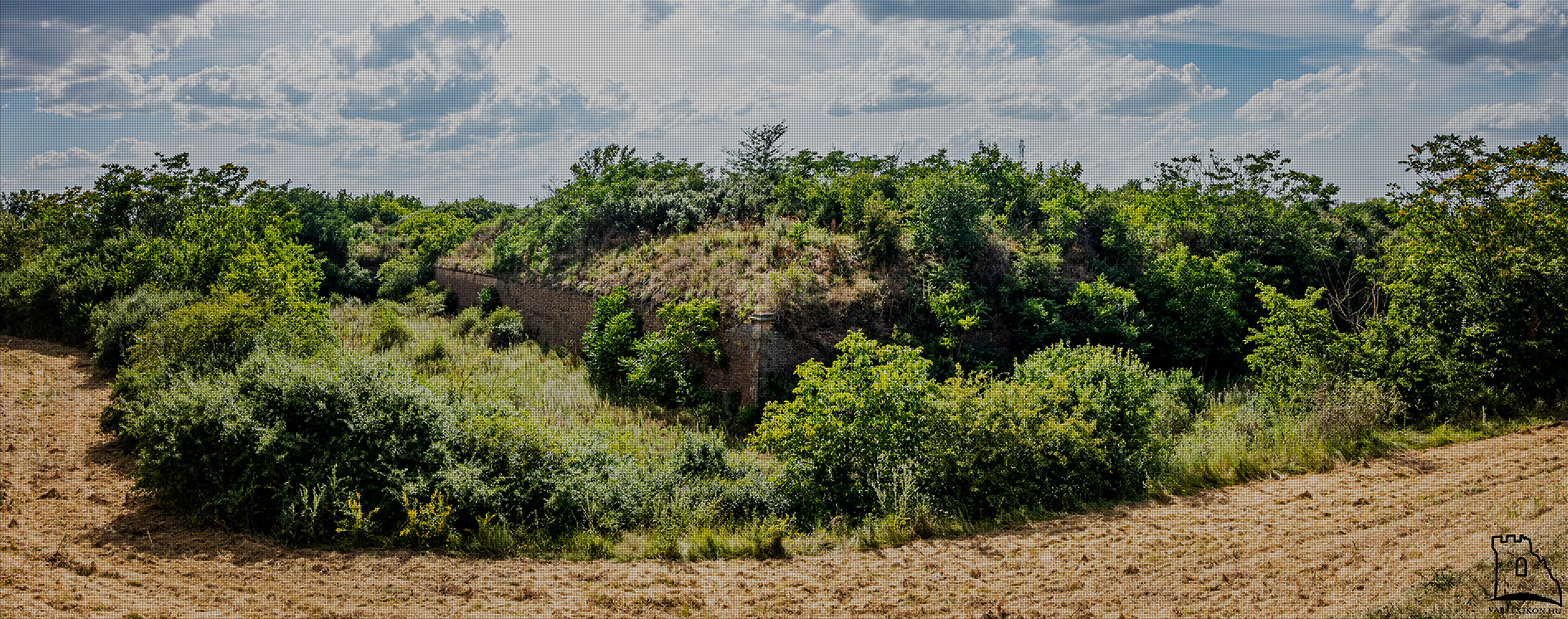 Arad