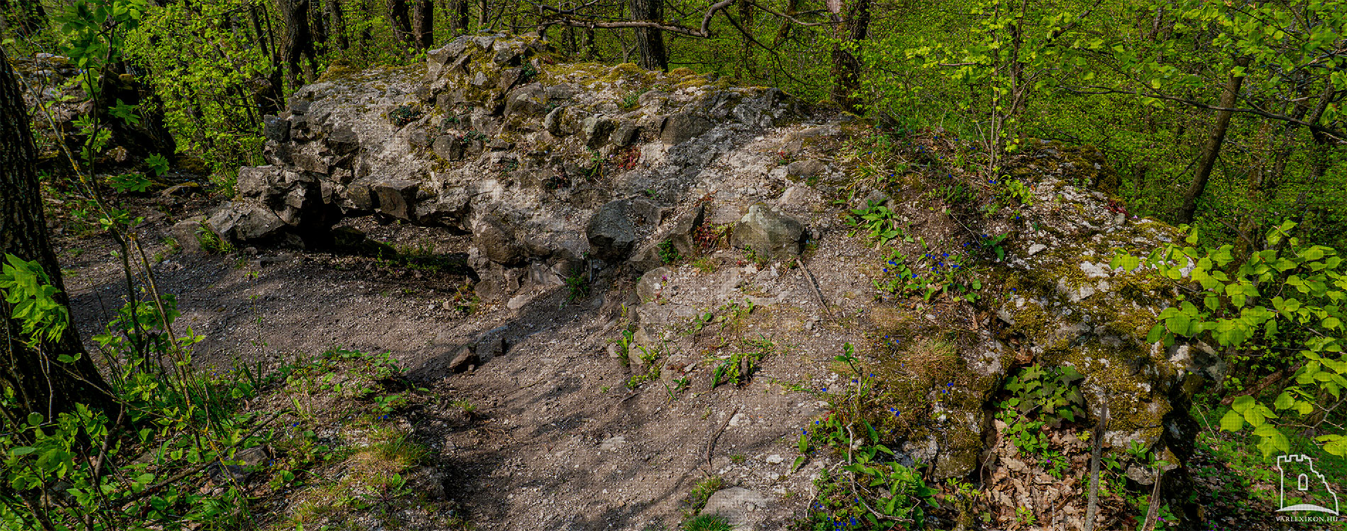 Márianosztra: Bibervár