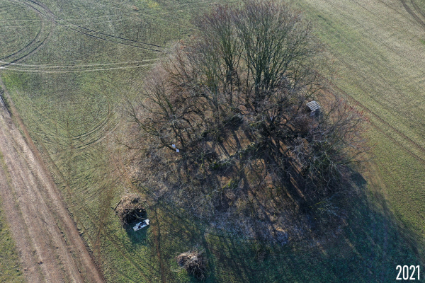 Fót Szent Márton templomrom