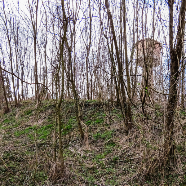 varlexikon.hu