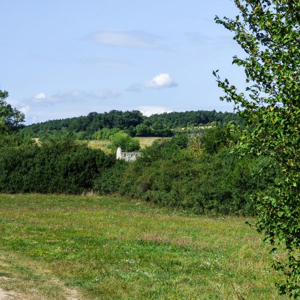 varlexikon.hu