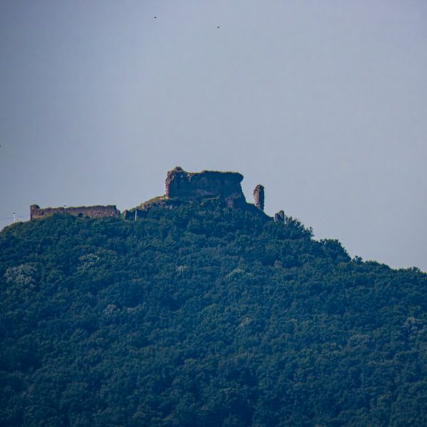 varlexikon.hu