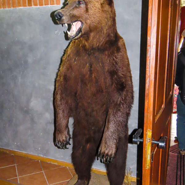 varlexikon.hu