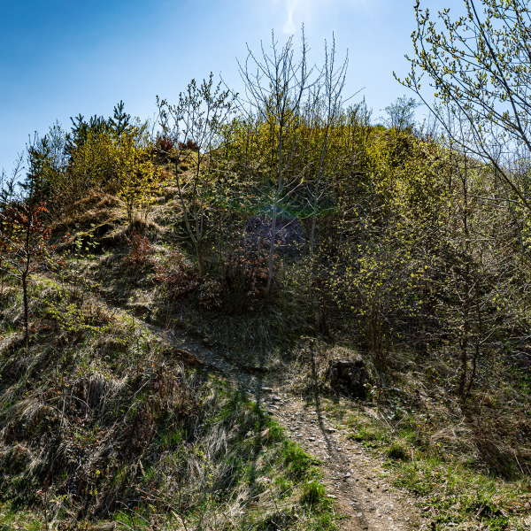 varlexikon.hu