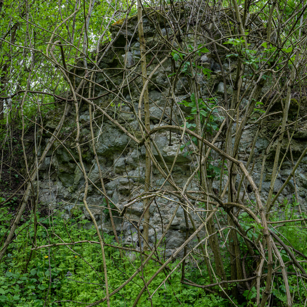 varlexikon.hu