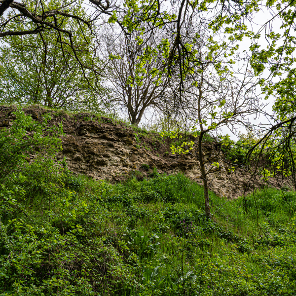 varlexikon.hu