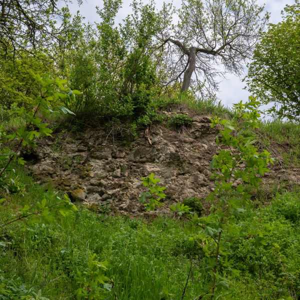 varlexikon.hu