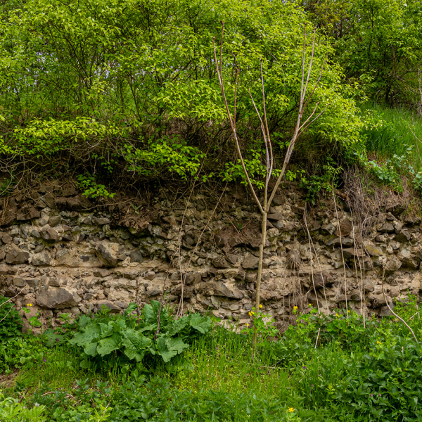 varlexikon.hu