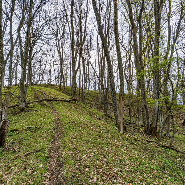 varlexikon.hu