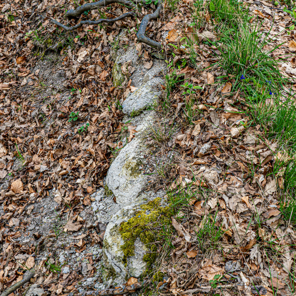 varlexikon.hu