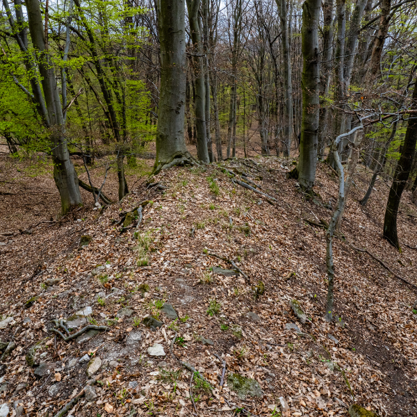 varlexikon.hu