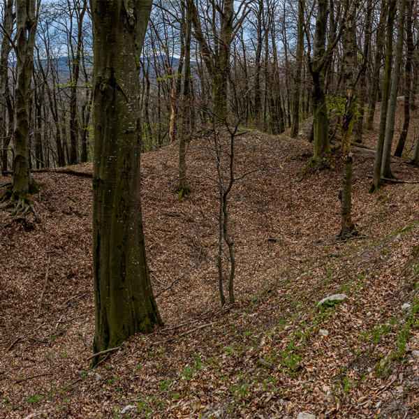 varlexikon.hu