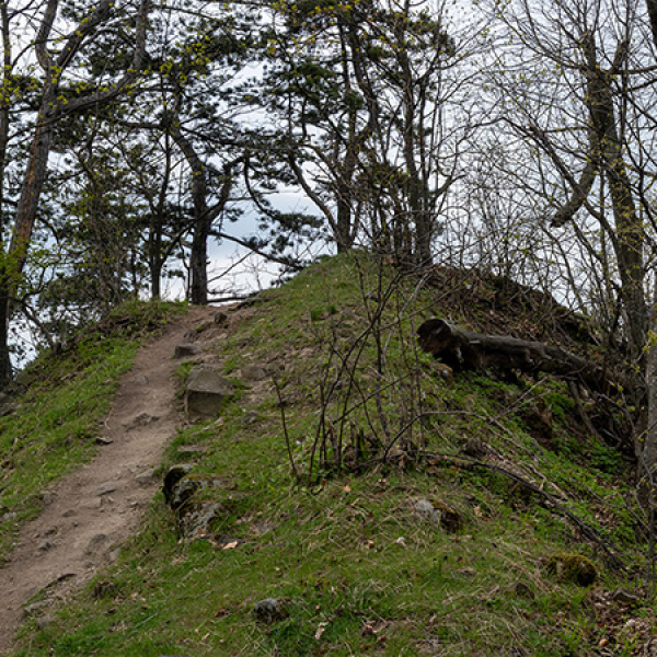 Ágasvár