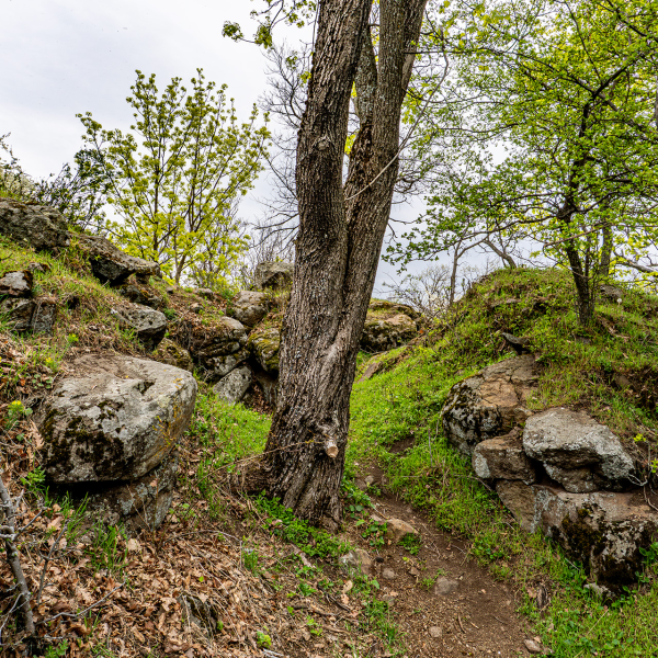 varlexikon.hu
