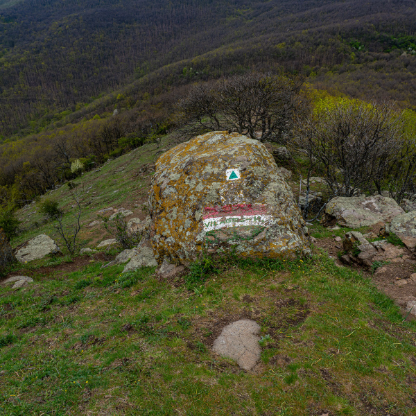 varlexikon.hu