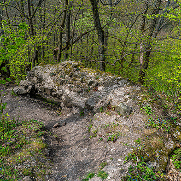 Márianosztra: Bibervár