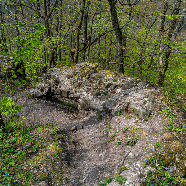 varlexikon.hu