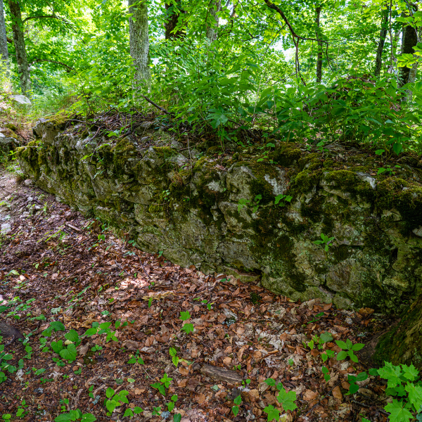 varlexikon.hu