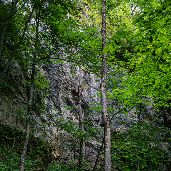 varlexikon.hu