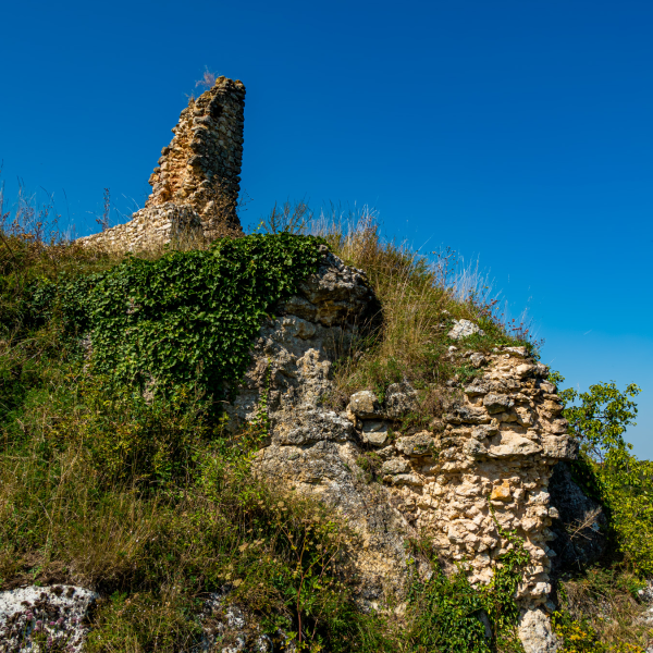 varlexikon.hu